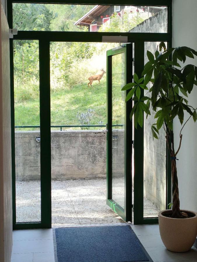 Apartment Center, Sauna, View - Haus Linaria Leukerbad