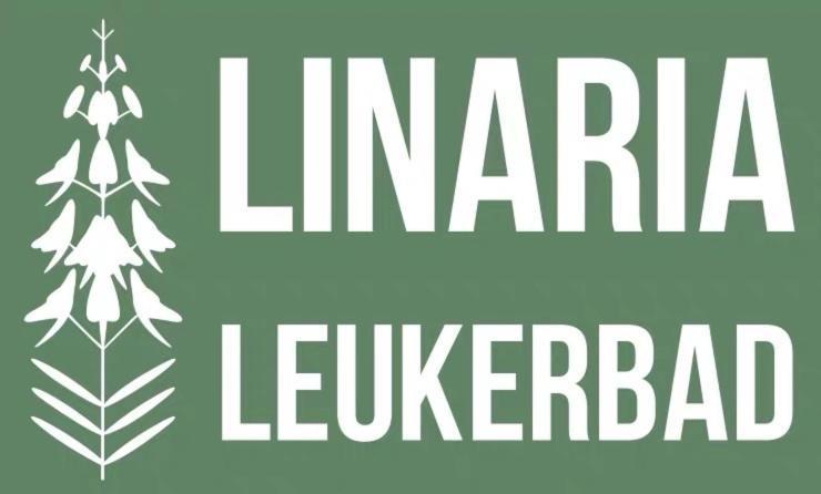 Apartment Center, Sauna, View - Haus Linaria Leukerbad